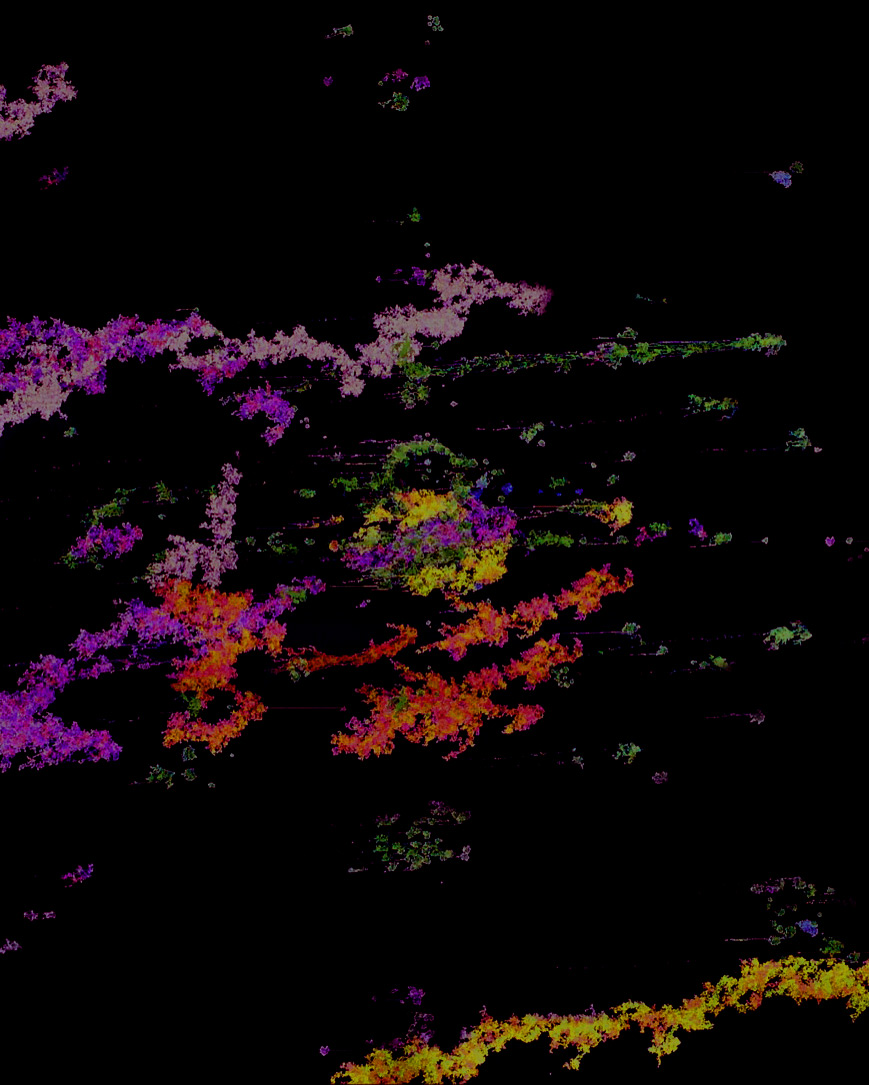 Close-up photograph of multiple teal, blood orange, canary yellow, and magenta strands of contiguous digital clusters against a dark bluish/blackish background.